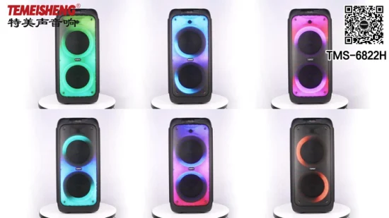 Temeisehng Portable Speaker Double 8 Inch Speaker Color LED Rechargeable Party Speaker